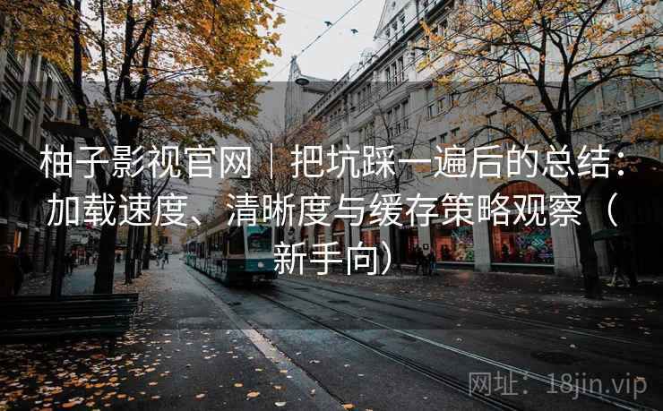 柚子影视官网｜把坑踩一遍后的总结：加载速度、清晰度与缓存策略观察（新手向）